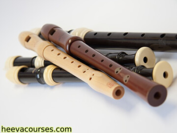 Img Learning to Play the Recorder Flute