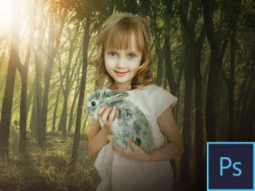 Img Online Photoshop Course