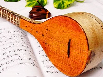 Img Learn How to Play the Setar (Beginner to Advanced)